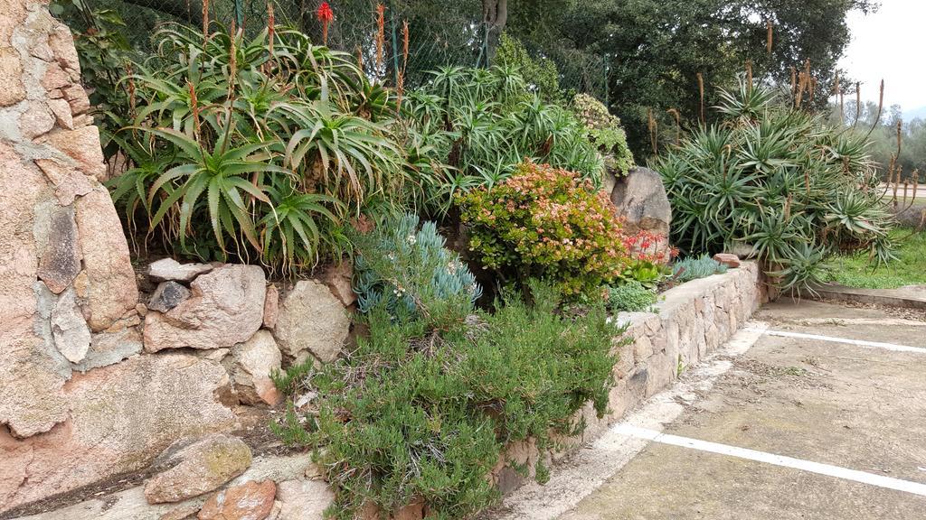 Corsica Hostel Porto-Vecchio, Partie Dortoirs Экстерьер фото